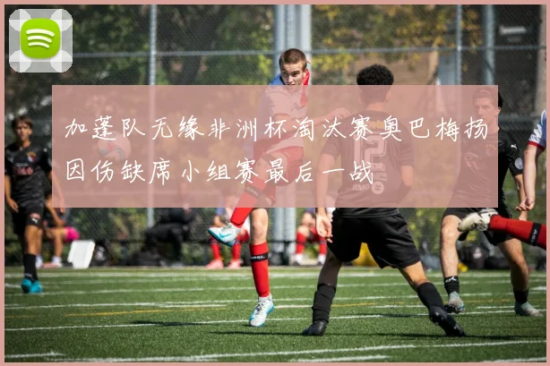 加蓬队无缘非洲杯淘汰赛奥巴梅扬因伤缺席小组赛最后一战